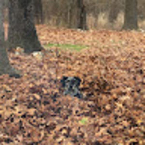 Meet your Posher, William